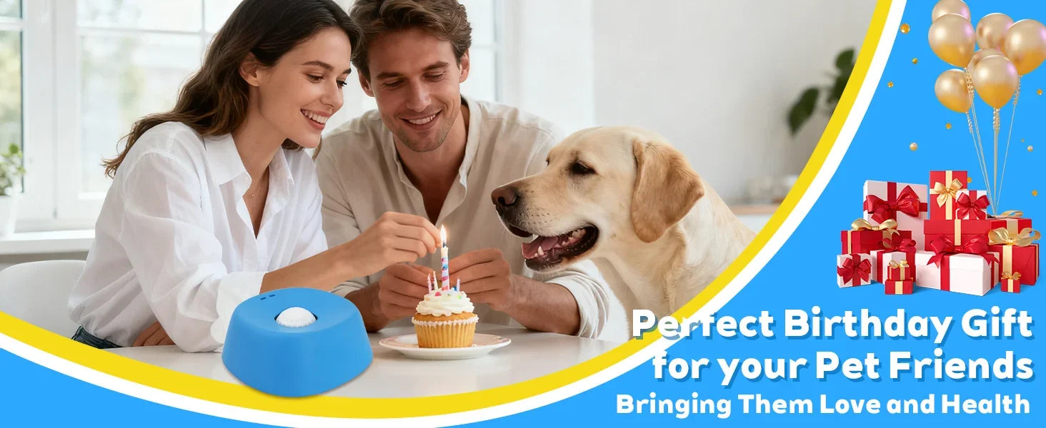 Liquid Treat Slow Feeder Dog Bowl