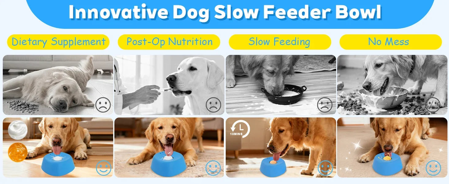 Liquid Treat Slow Feeder Dog Bowl